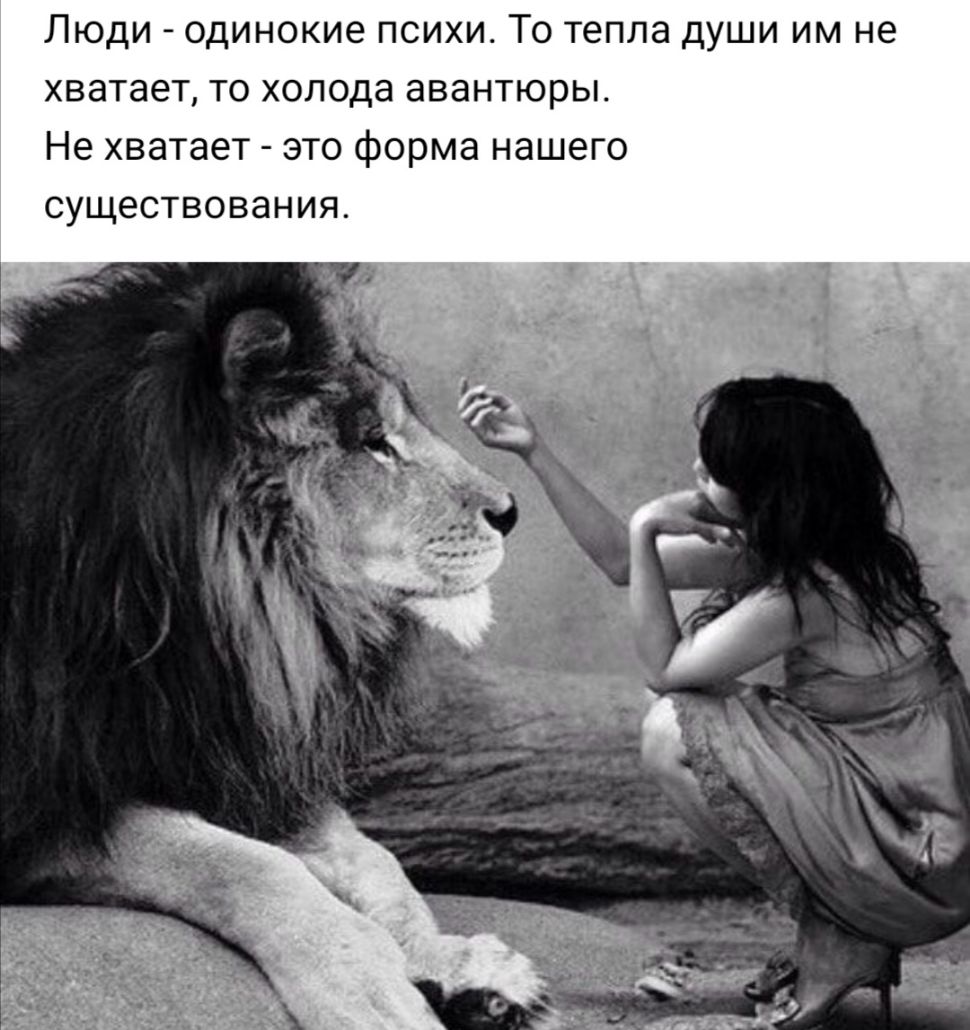 Люди одинокие психи То тепла души им не хватает то холода авантюры Не хватает это форма нашего существования