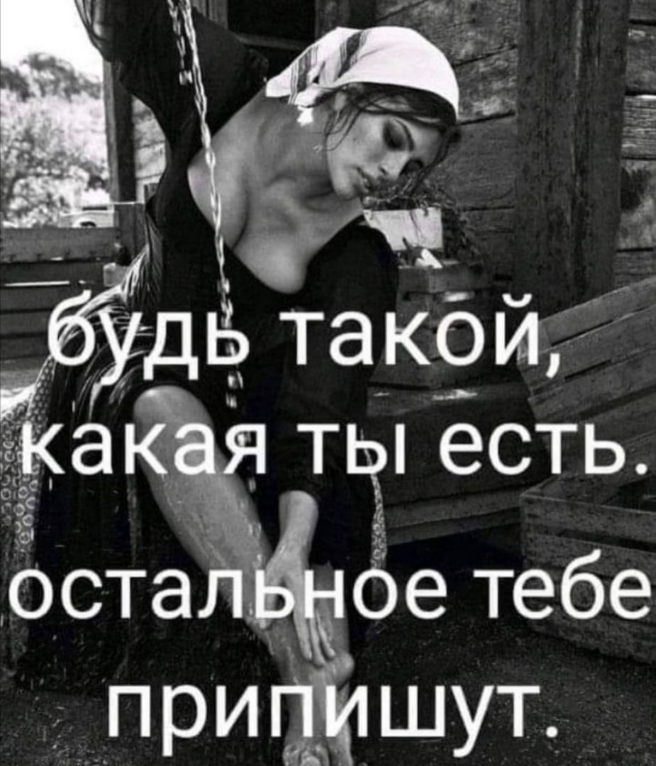 ч 9 1 17 Ёстайд ое тебе при шут
