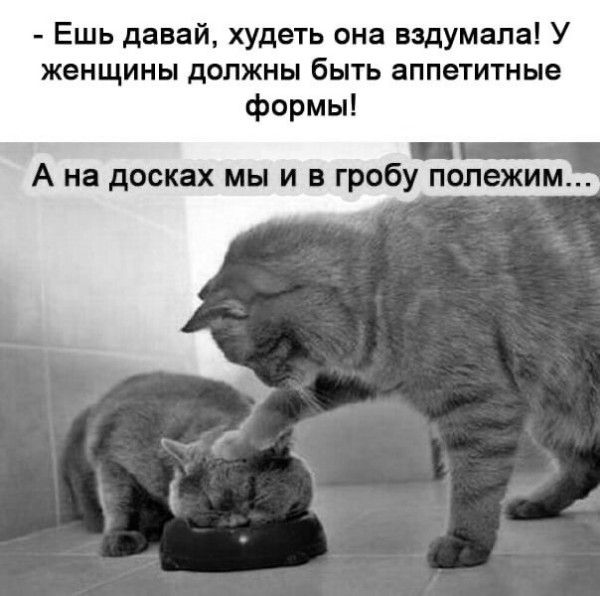 Ешь давай худеть она задумала У женщины должны быть аппетитные формы А на досках мы и в гробу полежим