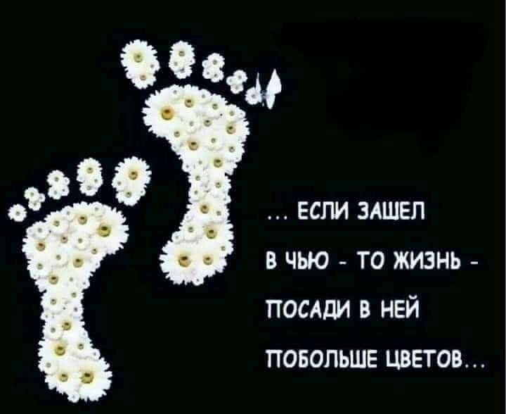 если злшел в чью _ то жизнь _ посдди в ней повопьшв цветов