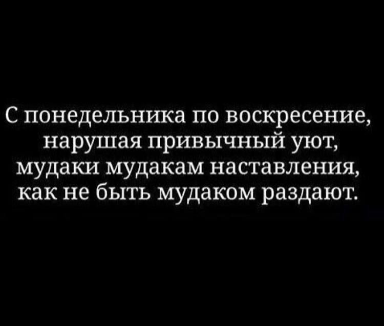 С понедельника по воскресение нарушая привычный уют мудаки мудакам наставления как не быть мудаком раздают
