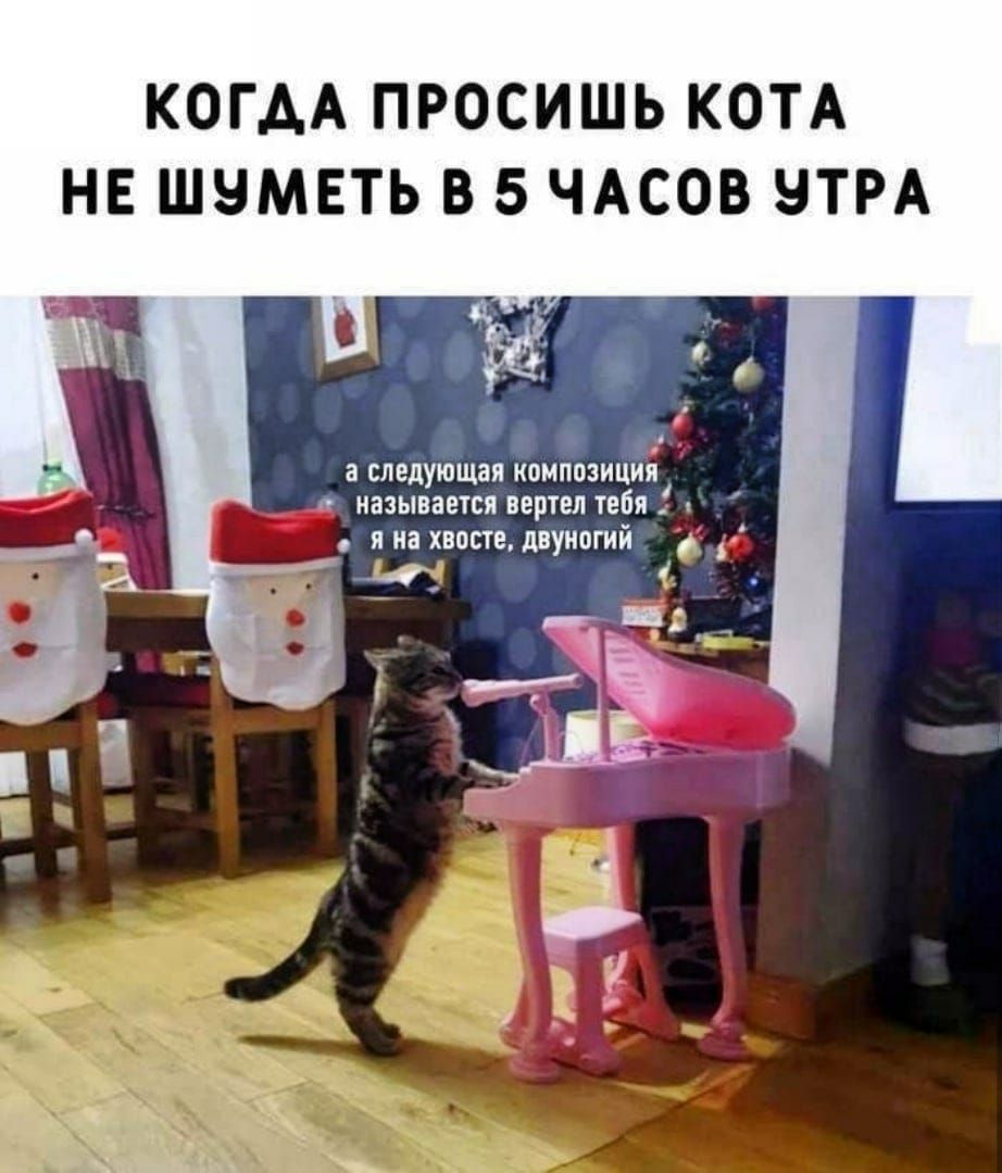 КОГАА ПРОСИШЬ КОТА НЕ ШЧМЕТЬ В 5 ЧАСОВ ЧТРА 9 _ 3 следующая КОМПОЗИЦИЯ называется вертел ТЕБЯ Я на ХВОСТЕ дВУНОГИИ