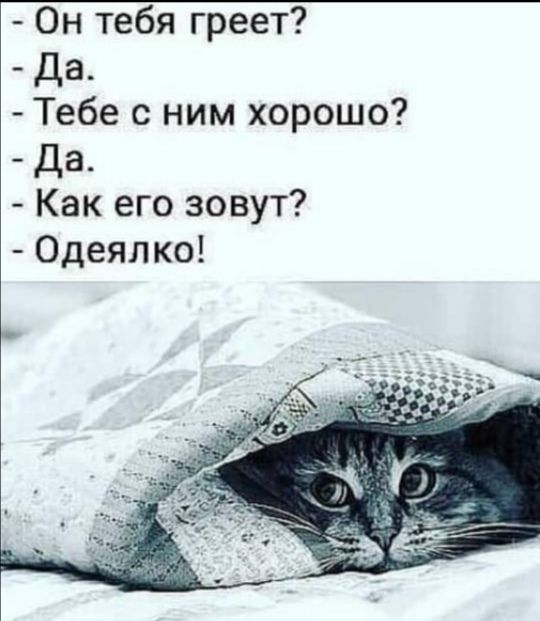 Он тебя греет Да Тебе с ним хорошо Да Как его зовут Одеялко
