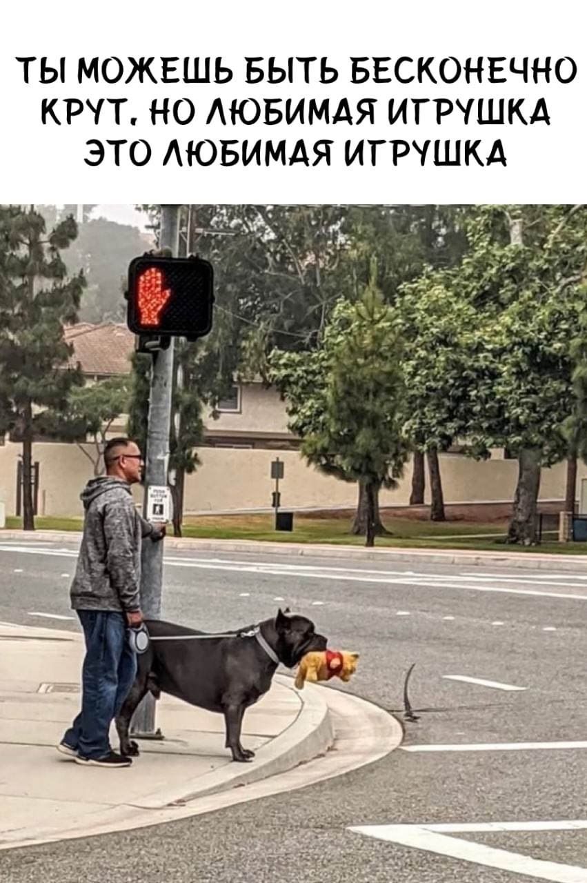ТЫ МОЖЕШЬ БЫТЬ БЕСКОНЕЧНО КРУТ НО АЮБИМАЯ ИГРУШКА ЭТО АЮБИМАЯ ИГРУШКА