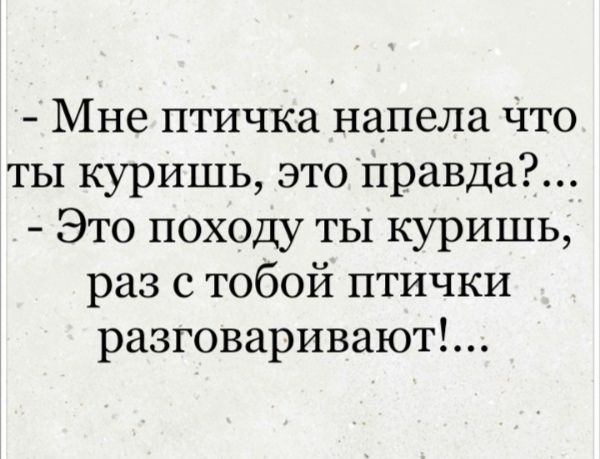 Мне птичка надела Что ты куришь это Правда Это походу ты куришь раз с тобой птички разговаривают