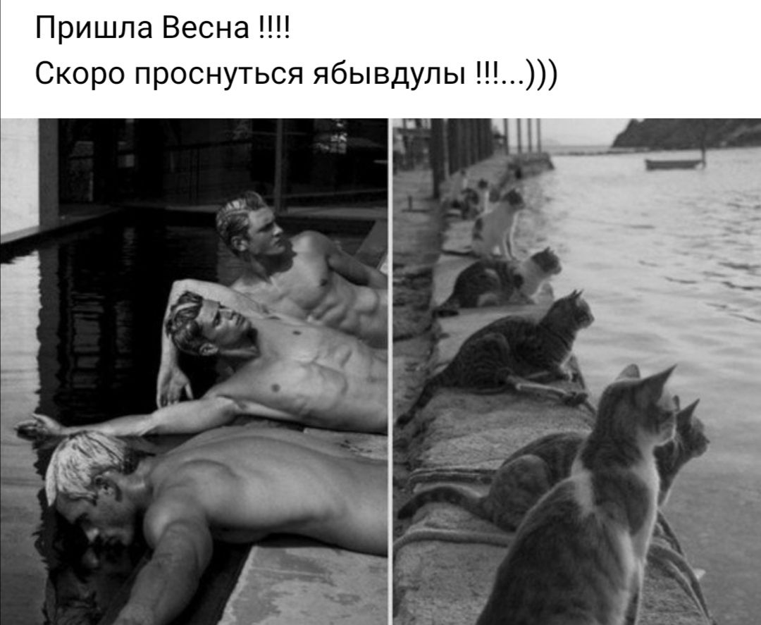 Пришла Весна Скоро проснуться ябывдулы