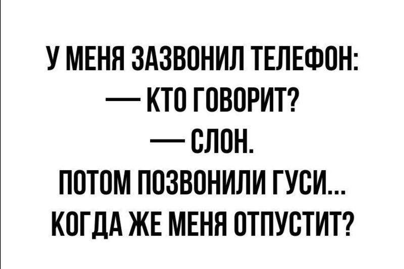 У МЕНЯ ЗАЗВОНИЛ ТЕЛЕФОН КТО ГОВОРИТ ОЛОН ПОТОМ ПОЗВОНИЛИ ГУОИ КОГДА ЖЕ МЕНЯ ОТПУОТИТ