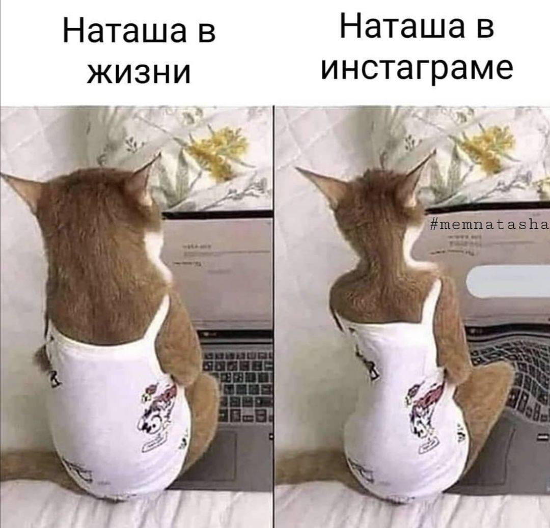 Наташа в Наташа В жизни инстаграме
