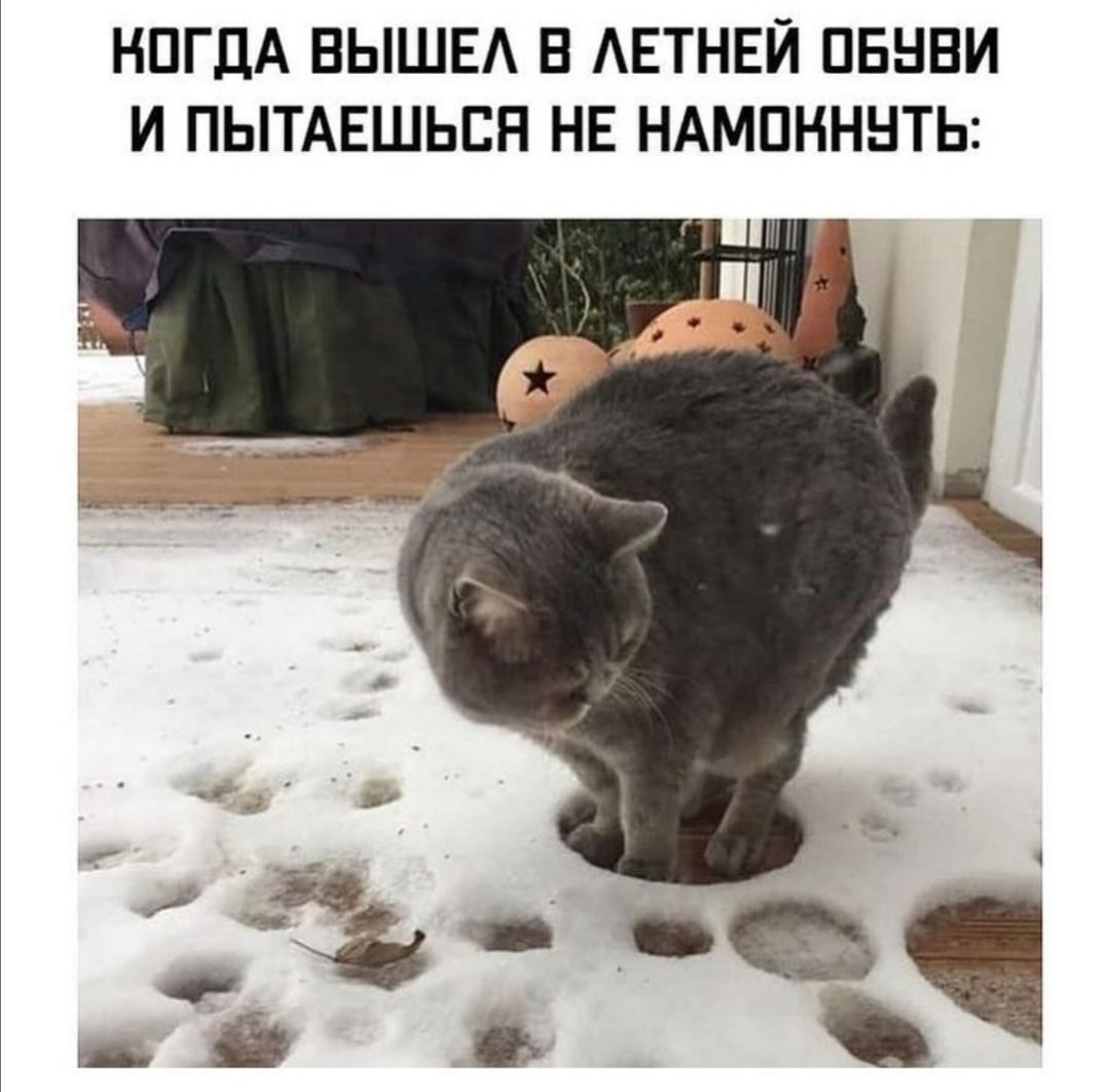 НПГДА ВЫШЕ В АЕТНЕЙ ПБНВИ И ПЫТАЕШЬЕН НЕ НАМПНННТЬ