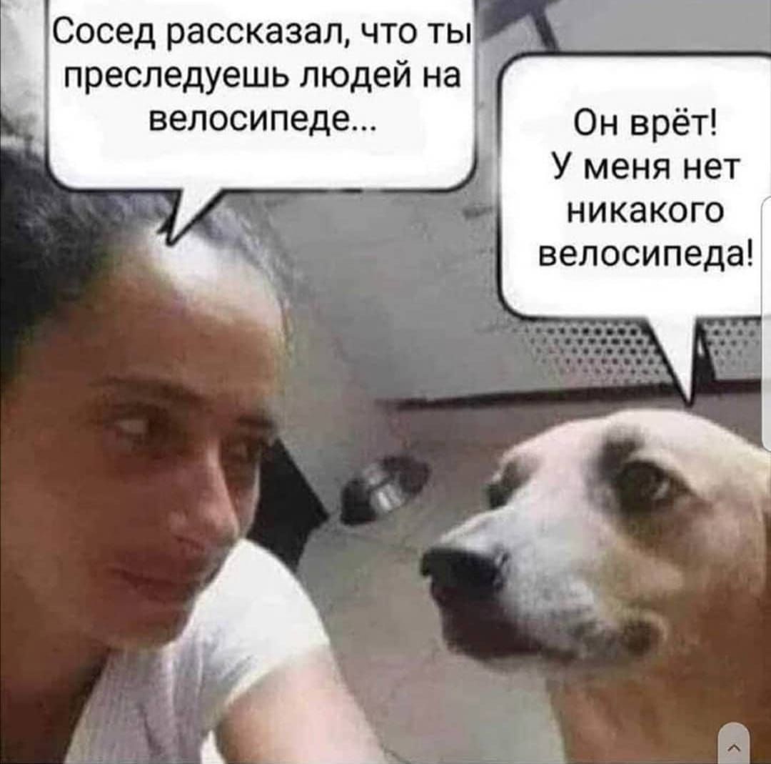 сосед рассказал ЧТО ТЫ преследуешь людей на велосипеде Он врёт У меня нет никакого велосипеда