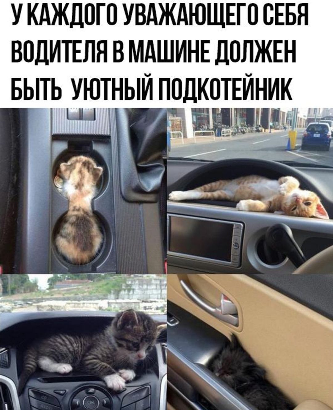 У КАЖДОГО УВАЖАЮЩЕГО СЕБЯ ВОДИТЕЛЯ В МАШИНЕ ДОЛЖЕН БЫТЬ УЮТНЫЙ ПОДК0ТЕИНИК