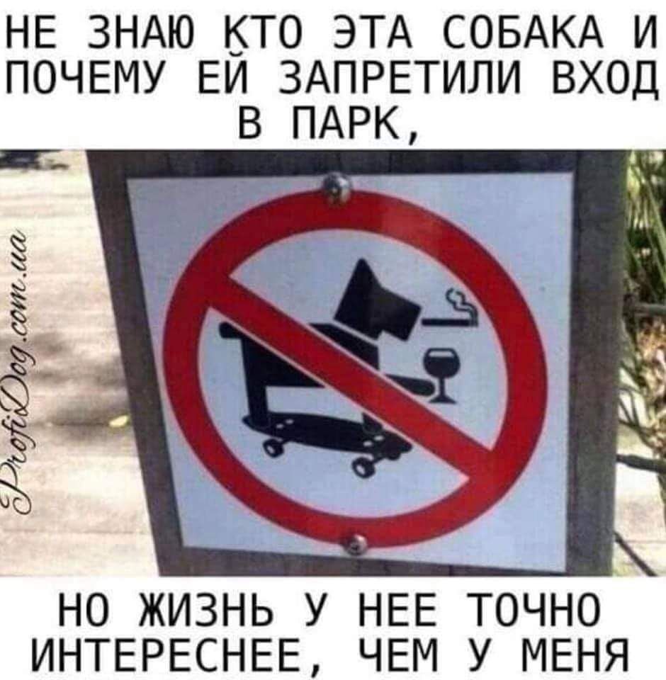 НЕ ЗНАЮ КТО ЭТА СОБАКА И ПОЧЕМУ ЕИ ЗАПРЕТИЛИ ВХОД НО ЖИЗНЬ У НЕЕ ТОЧНО ИНТЕРЕСНЕЕ ЧЕМ У МЕНЯ