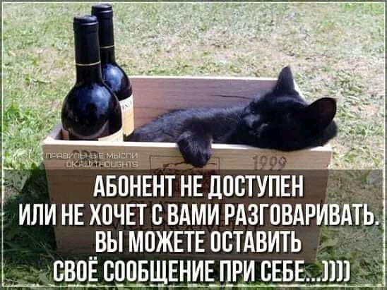 Авпнвнтнвдпступвн или НЕ хпчвт вдми РАзгпвдР вы МПЖЕТЕ пстАвить СВОЁ СППБЩЕНИЕ ПРИ БЕБЕЁПП