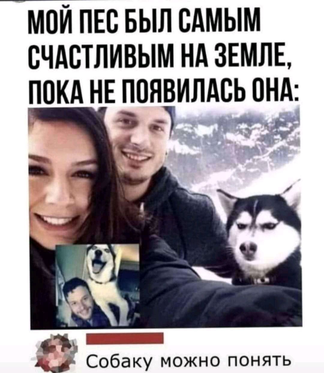 МОЙ ПЕС БЫЛ САМЫМ СЧАСТЛИВЫМ НА ЗЕМЛЕ ПСКА НЕ ПОЯВИЛАСЬ СНА ы Собаку можно понять