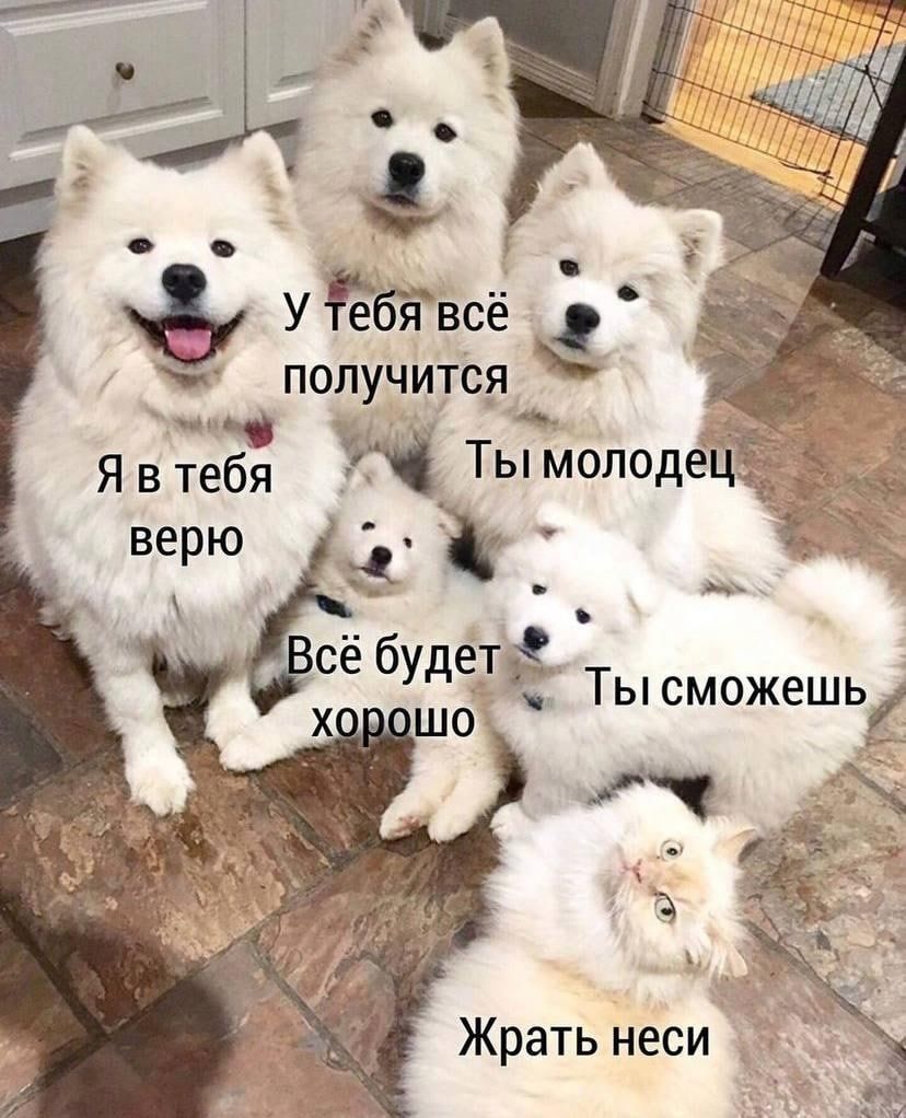 УЁбЁвсё и получится На Вт Я в тебя Ты молодец ве ю _ р сё будетд б Тысможешьі д
