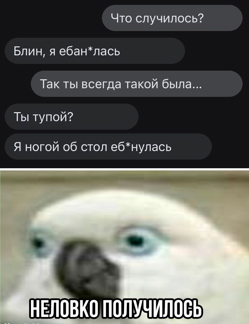 Что случилось Блин я ебанлась Так ты всегда такой была Ты тупой Я ногой об стол ебнулась