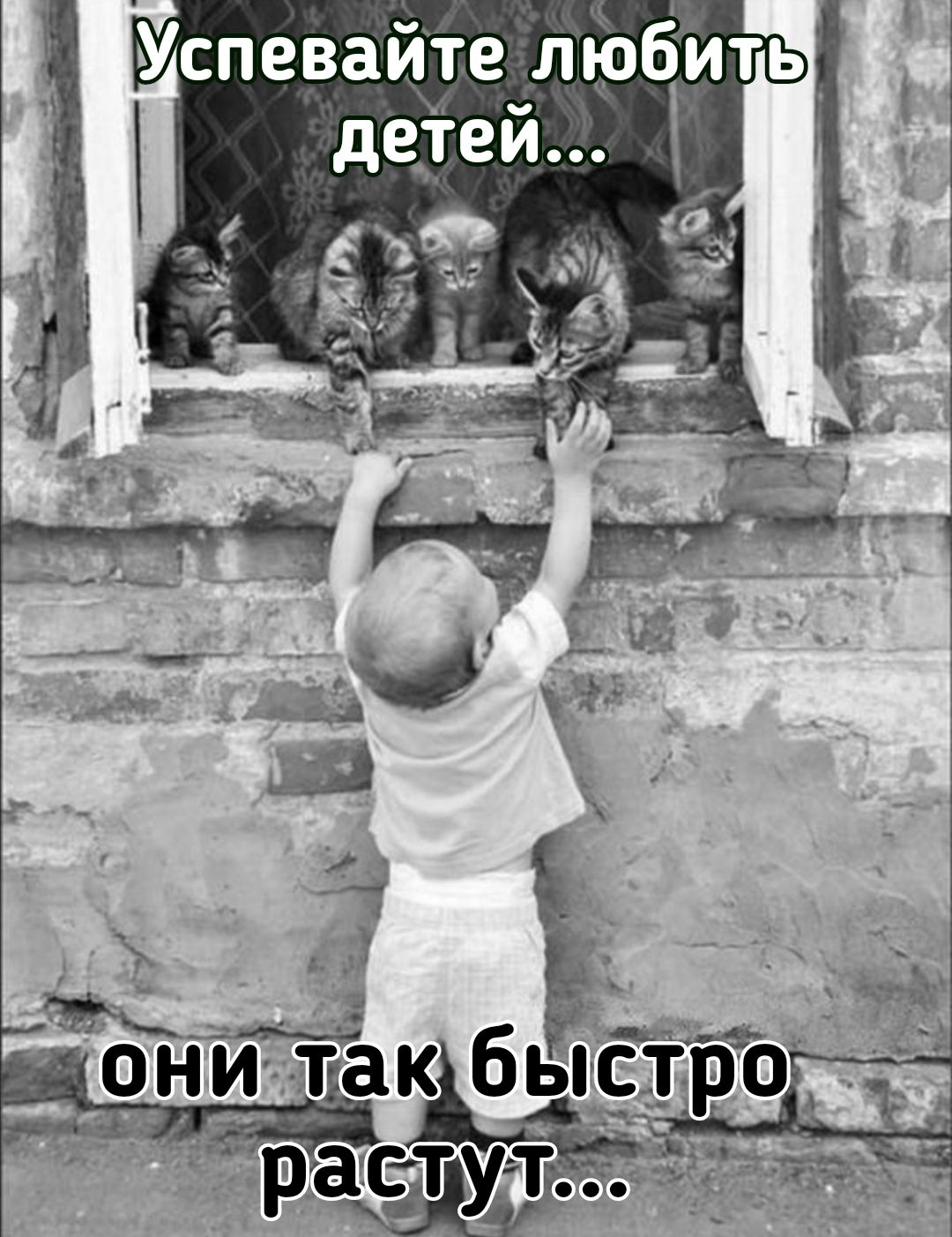 Бите    . 5 успева