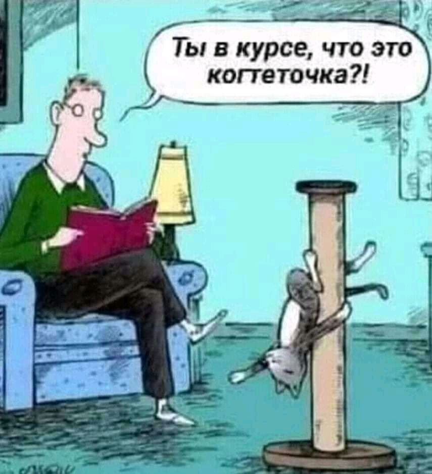 мд Ты в курсе что это когтеточка