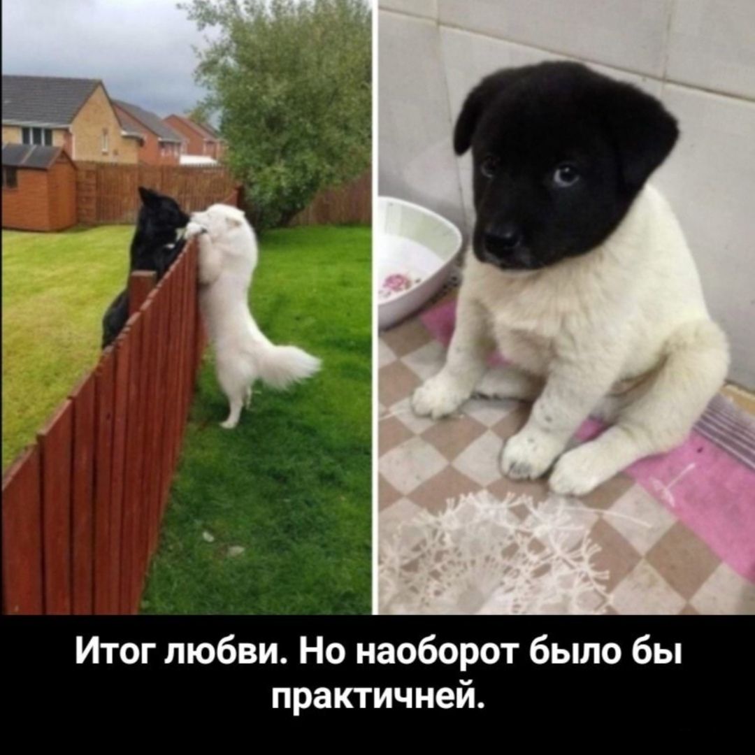 Итог любви Но наоборот было бы практичней