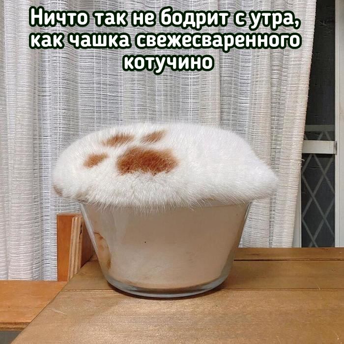е