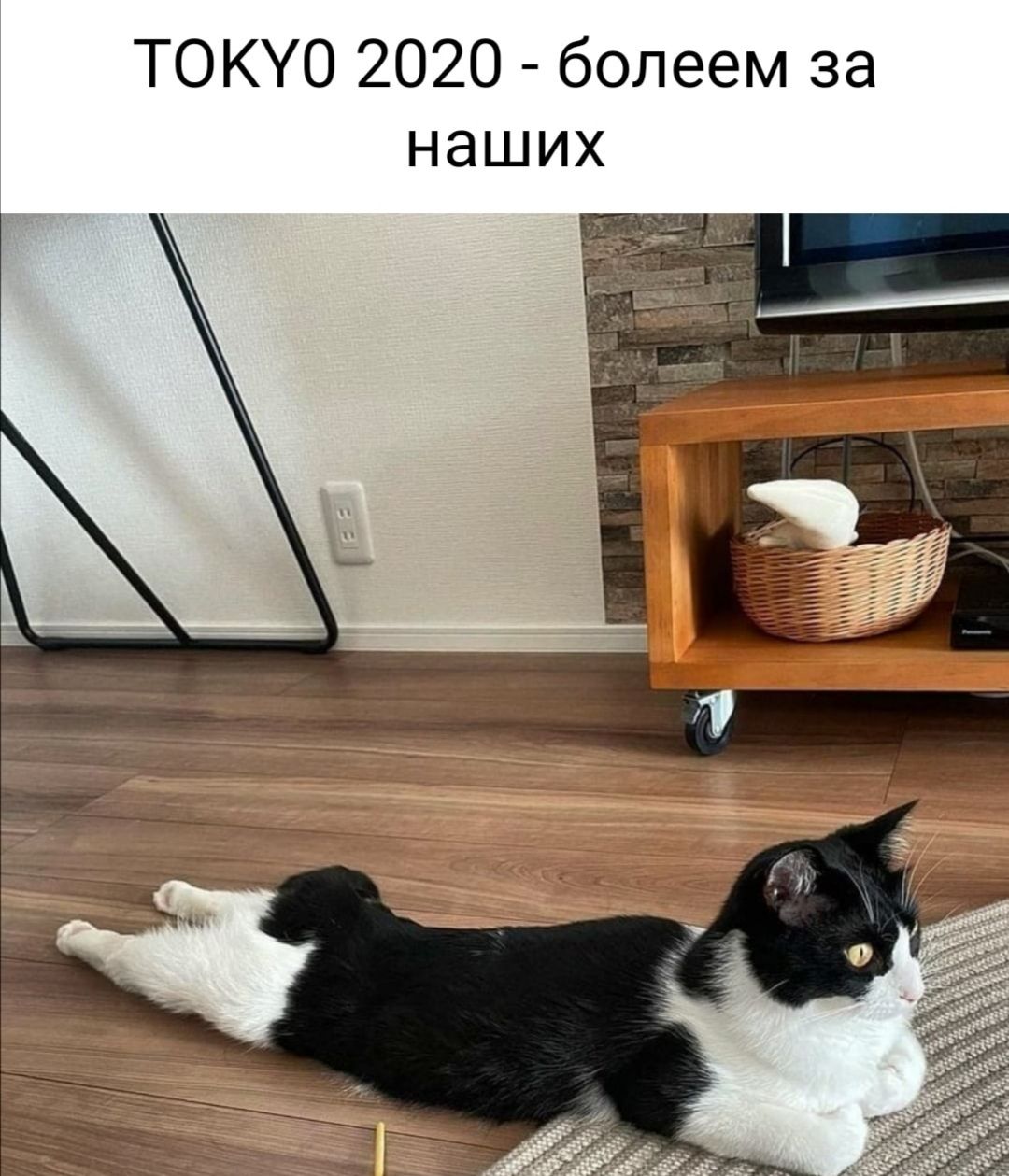 ТОКУО 2020 болеем за наших