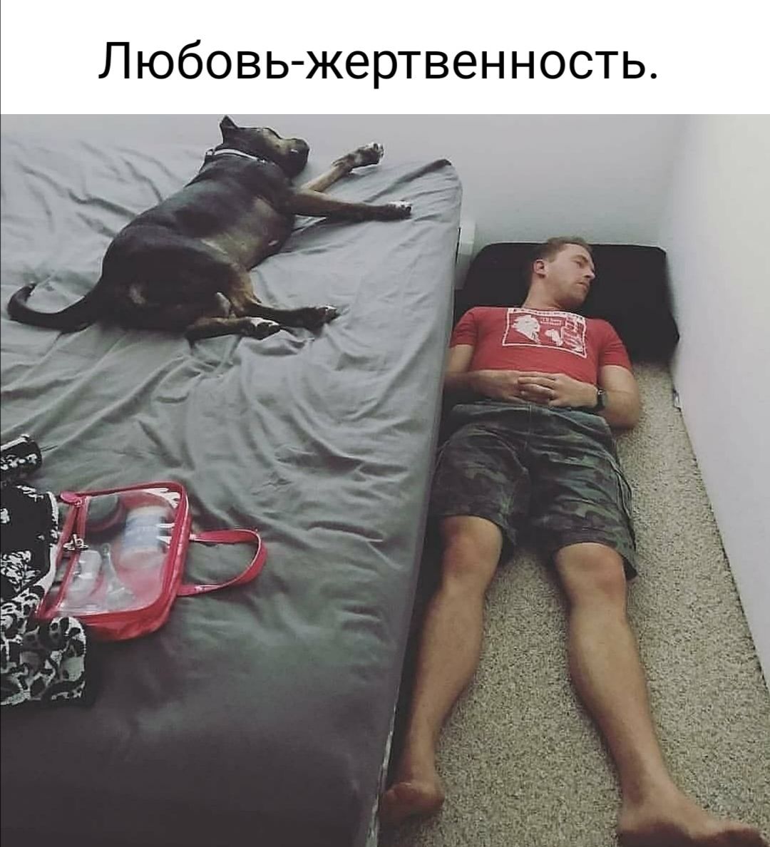 Любовь жертвенность