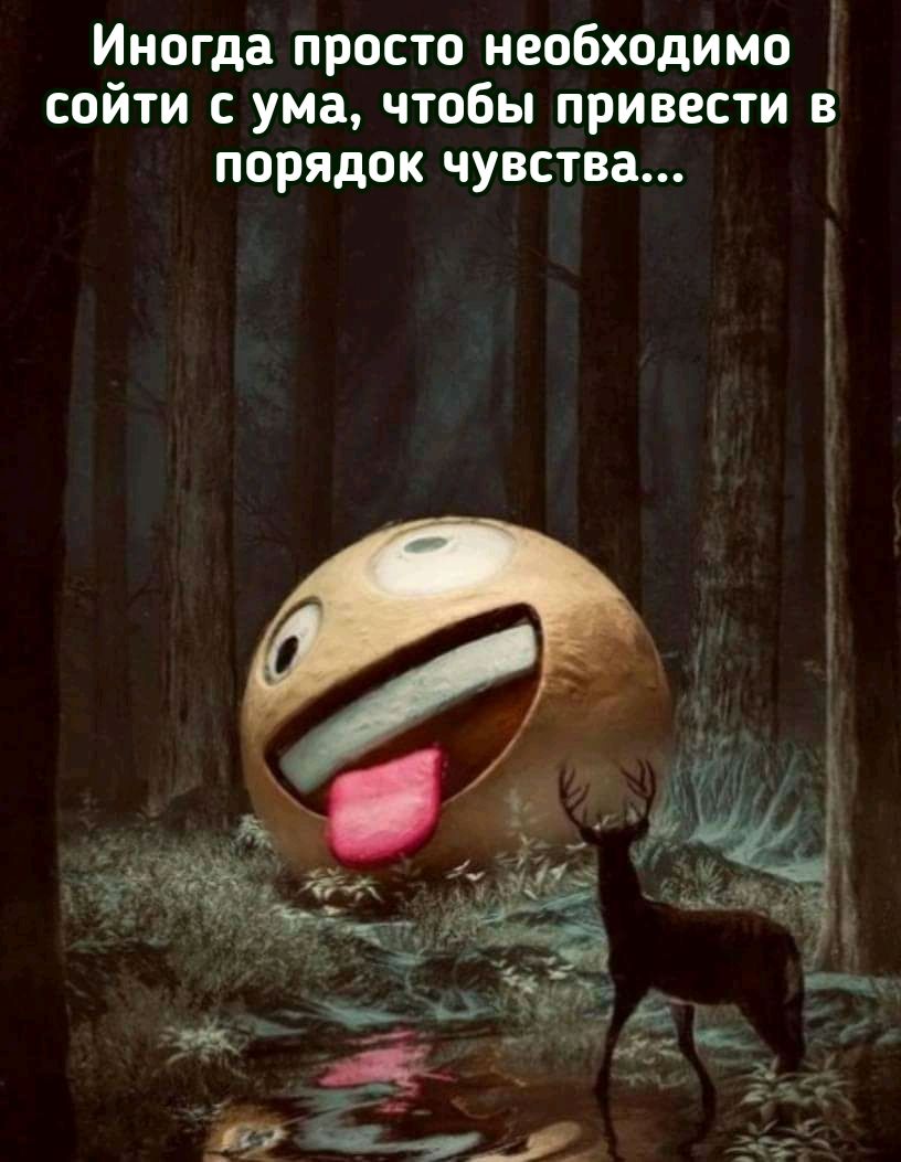 Иногда просто необходимо сойти с ума чтобы привести в порядок чувства