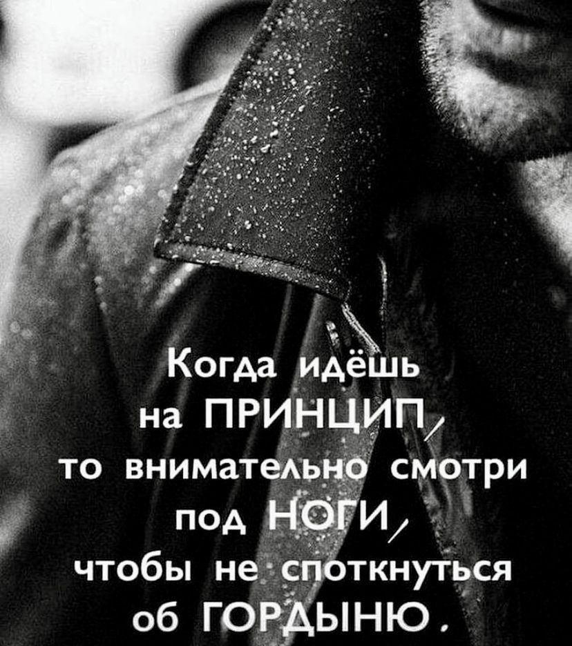 3 и Когда Идёшь на принцип то вниматежъ смотри _ _ АЁ Ё под И чтобы не _ _ ткнуться ыню