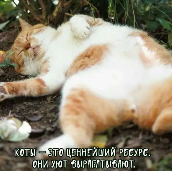 ОНИ УЮТ ШРНБНТЪЮНЮГ