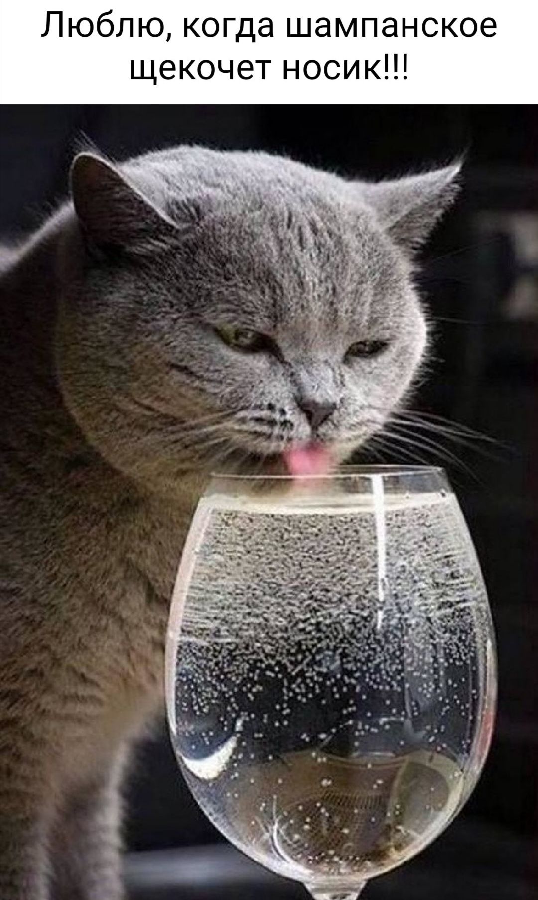 е 0 К с Н 8 ПК И 0 0 ШН ат Ё К ющ Л 6 Ю П