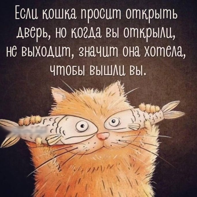 ЕСЩ кошка просит открыть дверь но когда вы отнрьти не выходит значит она хотеть чтовы вышмъ вы 1 ___ __ _ и к