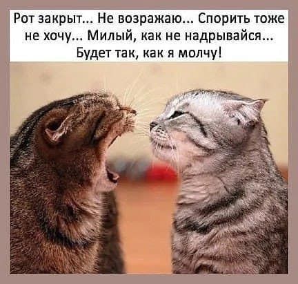 Рот закрыт Не выражаю Спорить тоже не хочу Милый как не надрывайся Будет так как я молчуі