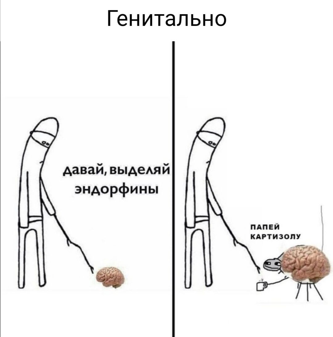 Генитально давай ныАеАяй эндорфины дпни пивом