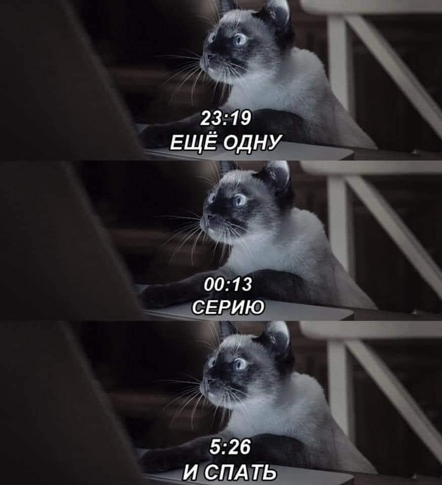 526 ИЕ П А шь