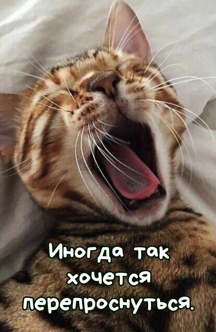 Иногда так __ хочется дерепроснуться