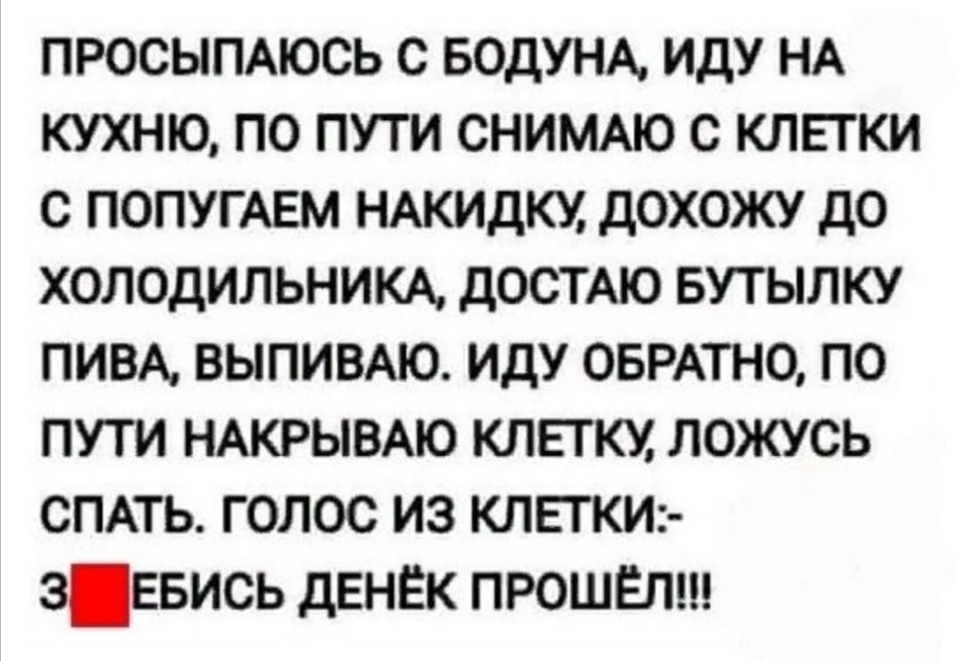 просымюсь с БОДУНА иду НА кухню по пути СНИМАЮ с клики с ПОПУГАЕМ ндкидку дохожу до холодильникд достт БУТЫЛКУ пивд ВЫПИВАЮ иду оврдтно по пути НАКРЫВАЮ клетку ложусь спдть голос из клики эевись дднёк прошЕлш