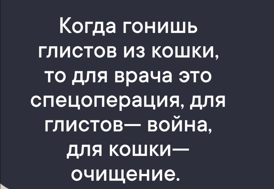 Когда гонишь глистов из кошки то для врача это спецоперация для глистов война для кошки очищение