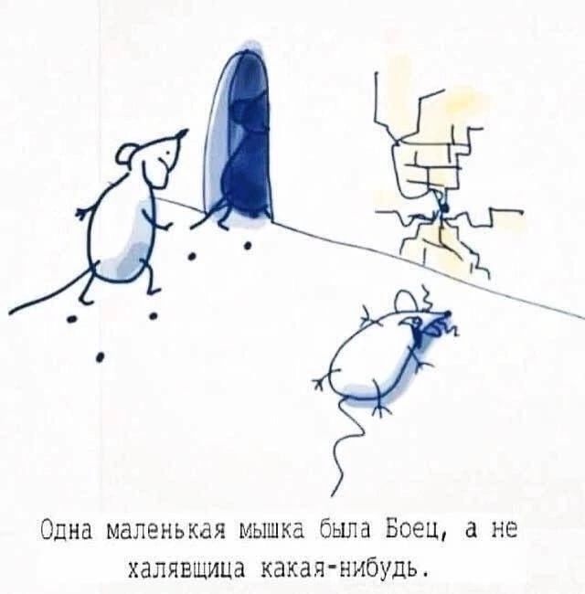 Одна маленькдя мышка была Боец не халявщица какая нибудь