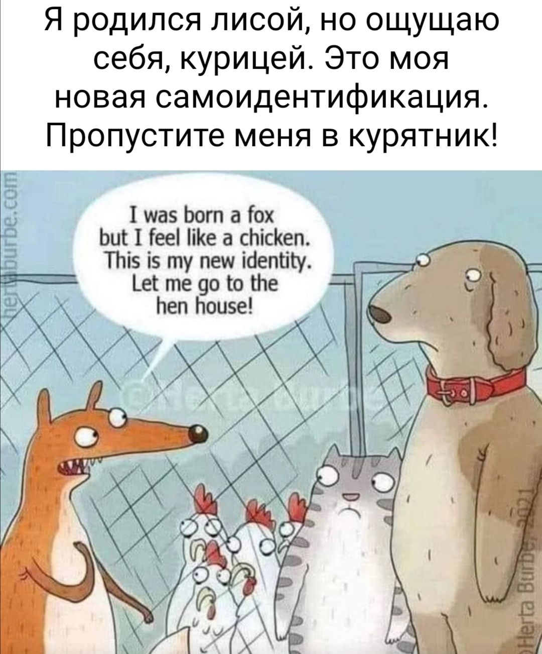 Я родился лисой но ощущаю себя курицей Это моя новая самоидентификация Пропустите меня в курятник ща Ьот а Уох Ьиі 1 ееі а пісКеп ТЬів ту пеш ійепту ш те 90 Ш те Ьеп Ьппзе