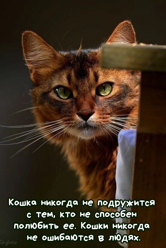 9 а дх начин лкд УЬБ Ёт тыв я о пышки и дтп ший и итбе Ю теми к