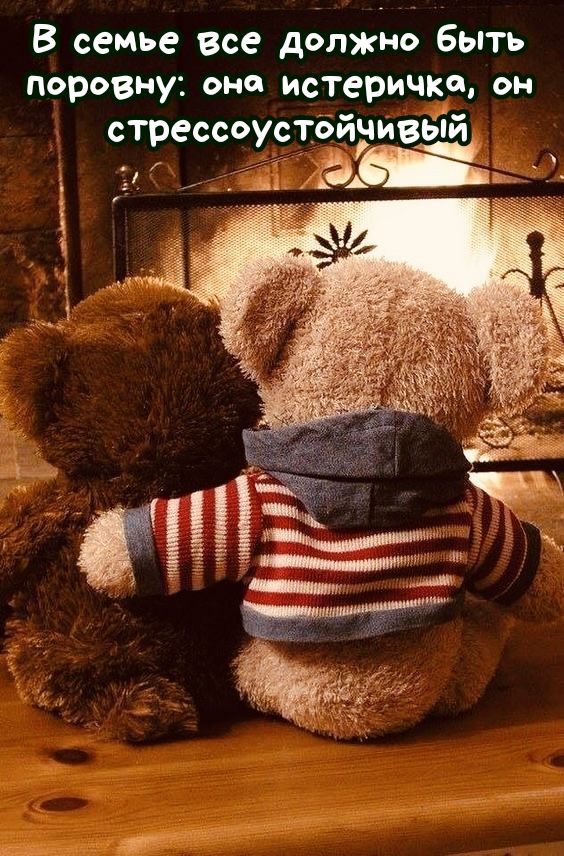 В семье все должно быть поровну оно истеричкщ он г стрессоустоичивыи г _ мы