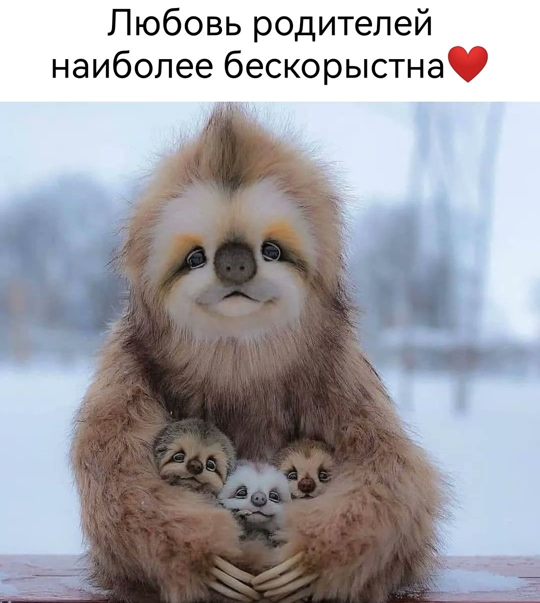 Любовь родителей наиболее бескорыстна