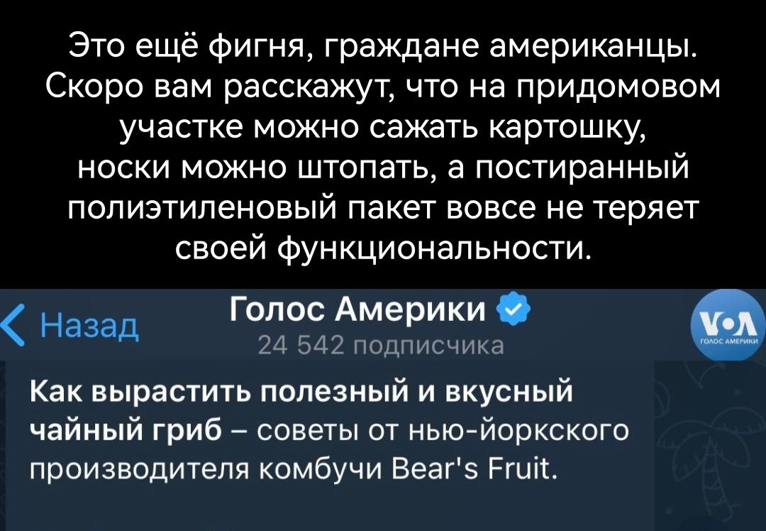 Это ещё Фигня граждане американцы Скоро вам расскажут что на придомовом участке можно сажать картошку НОСКИ МОЖНО ШТОПЗТЬ а попиранный полиэтиленовый пакет вовсе не теряет своей функциональности Назад Голос Америки 21 542 подписчика Как вырастить полезный и вкусный чайный гриб советы от нью йоркского производителя комбучи Веагэ Ртіі