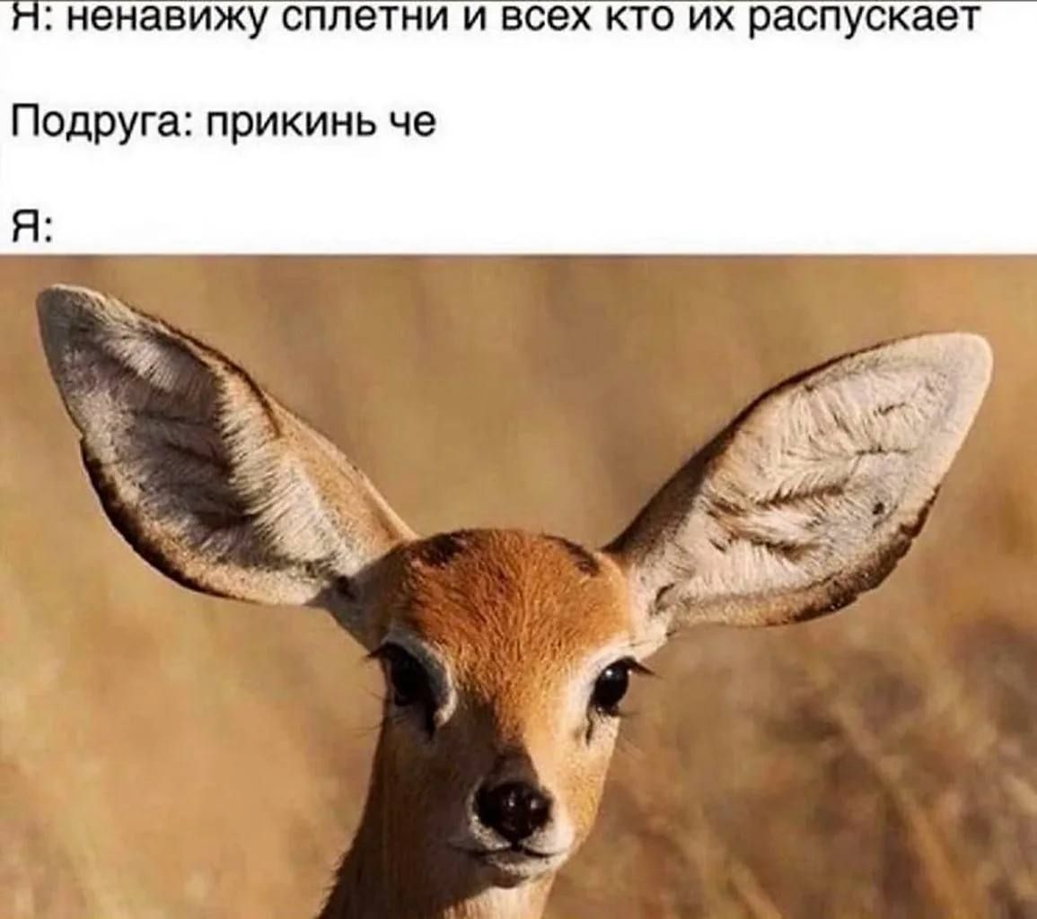 ненавижу сплетни и всех кто их распускает Подруга прикинь че