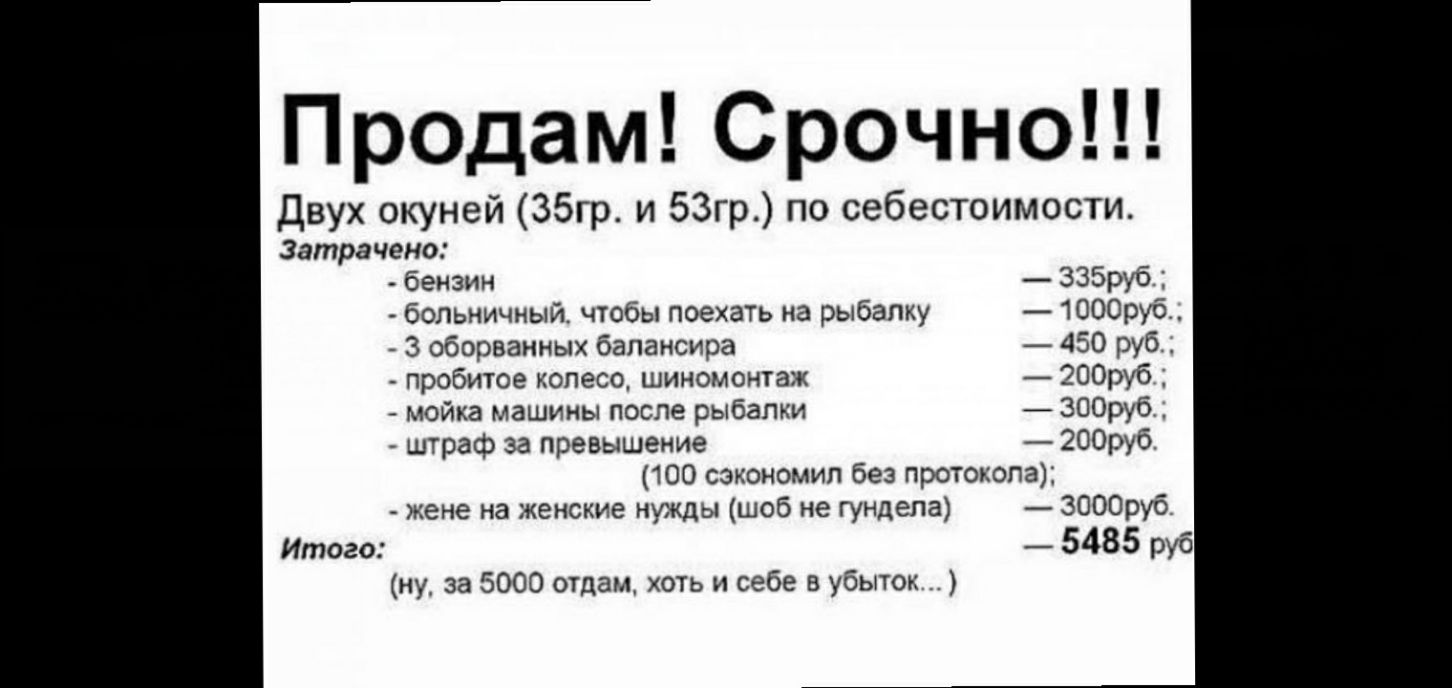 Продам двух. Продам 2 окуня по себестоимости. Продам двух окуней по себестоимости. Продам 2 карасей по себестоимости.