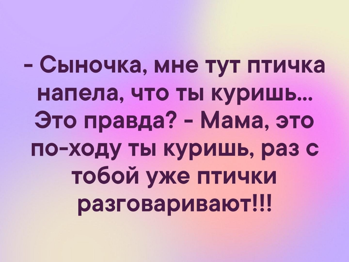 Сыночка мне тут птичка напела что ты куришь Это правда Мама это по ходу ты куришь раз с тобой уже птички разговаривают