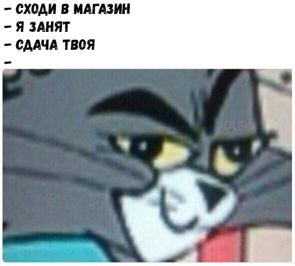 сходи В МАГАЗИН Я ЗАНЯТ СДАЧА твоя