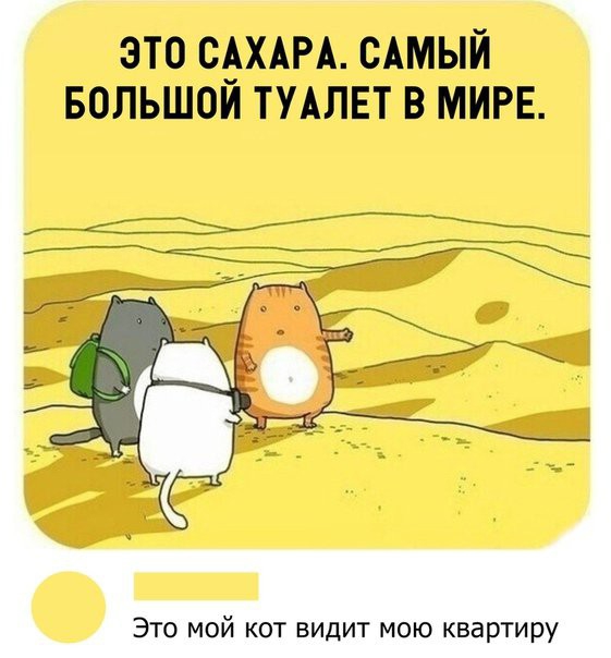 ЭТО САХАРА САМЫЙ БОЛЬШОЙ ТУАЛЕТ В МИРЕ