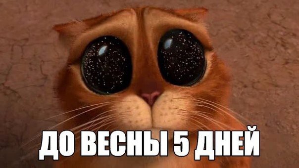 до вюныддн