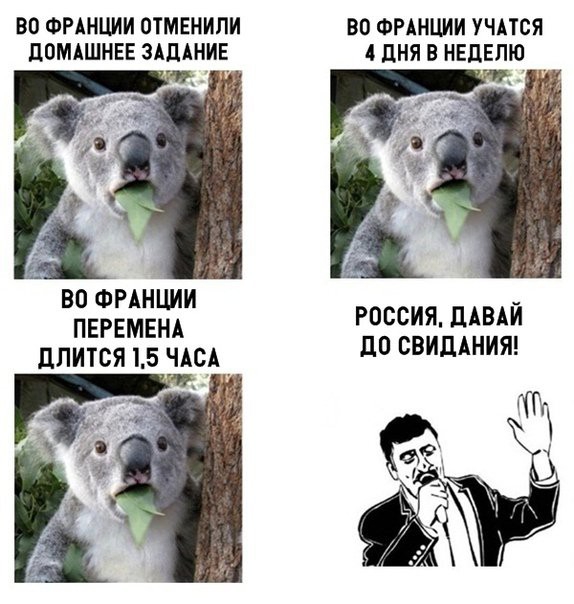 ВО ФРАНЦИИ ОТМЕНИПИ дОМАШНЕЕ ЗАДАНИЕ ВО ФРАНЦИИ ПЕРЕМЕНА ПЛИТСЯ 15 ЧАСА ВО ФРАНЦИИ УЧАТСЯ 4 дНЯ В НЕДЕЛЮ РОССИЯ ЦАВАИ до СВИДАНИЯ